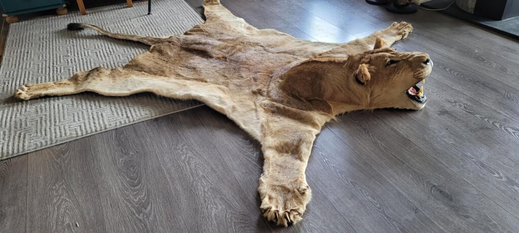 Lion Rug