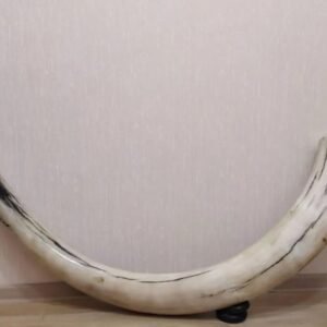 Fossil woolly mammoth tooth from the Ice Age