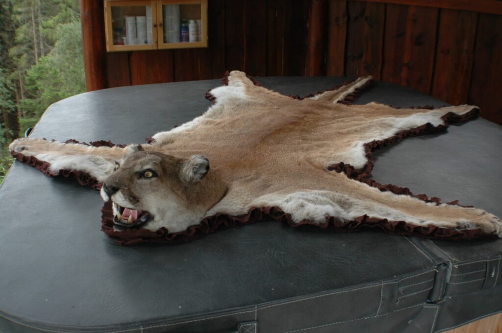 Puma Rug
