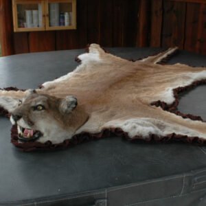 Puma Rug