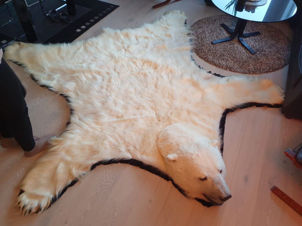 Polar Bear Rug