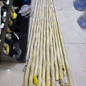 Narwhal Tusks