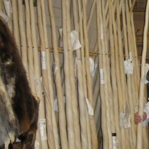 Narwhal Tusks for sale