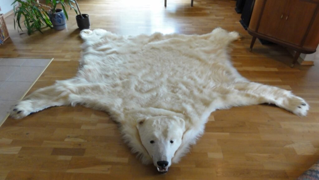 Antique Polar Bear rug