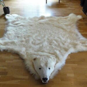Antique Polar Bear rug