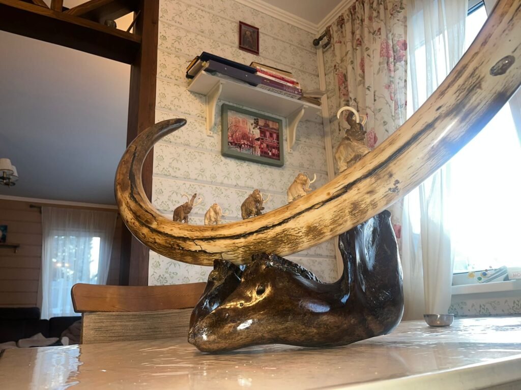 Mammoth Tusk