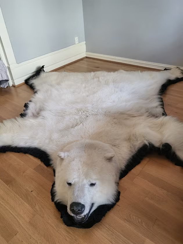 Polar Bear rug